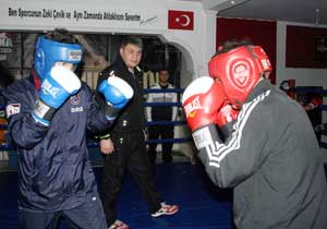 Boksörler Trabzon'a geliyor