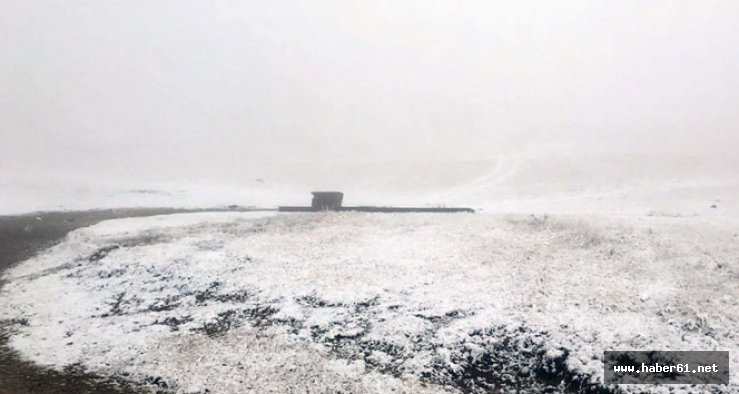 Zigana bembeyaz oldu