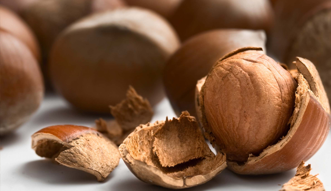 "Fındık fiyatları maliyetin altında"