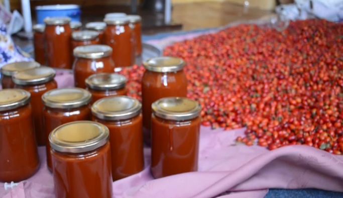 Gümüşhane'de kuşburnu hasadı başladı