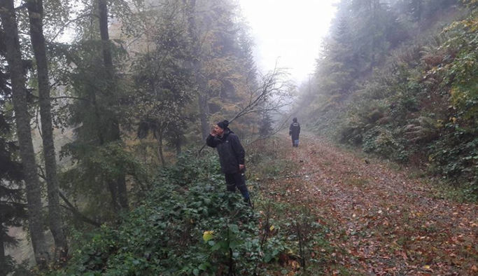 Mantar toplarken kaybolan şahıs aranıyor