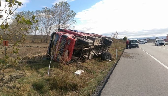 Kamyon dolusu koyun telef oldu