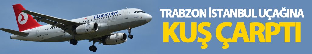 Trabzon İstanbul uçağına kuş çarptı