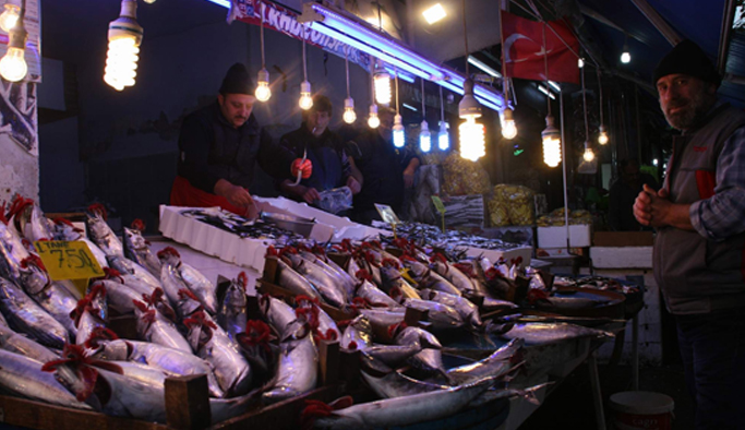 Trabzon'da havalar soğudu Palamut uçtu