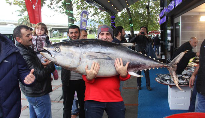 Rize'de dev orkinos ilgi gördü