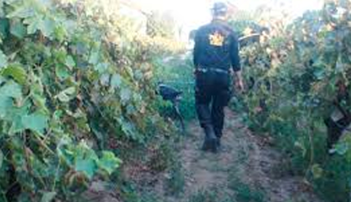 Minik Irmak'ın cesedi bulundu