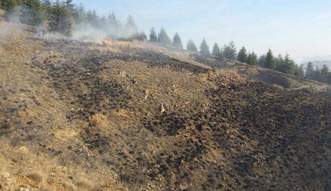 8 bin fidanı kül ettiler