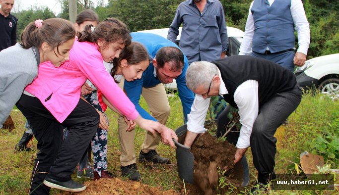 Şehir şehir gezerek ağaç dikiyor