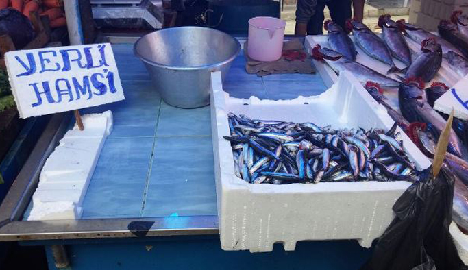 Trabzon'da yerli hamsi tezgaha indi