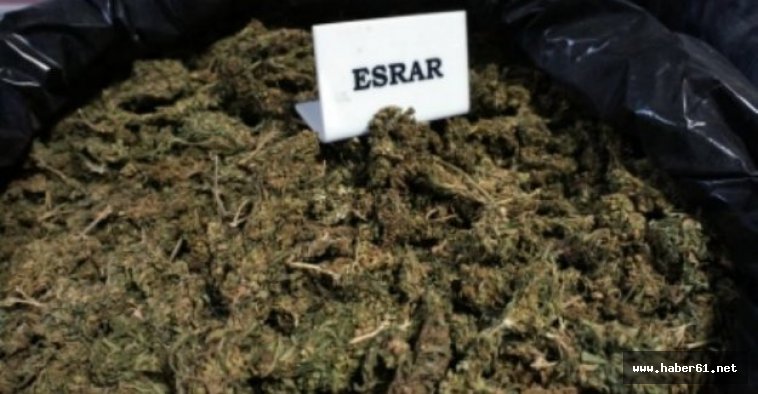 Uyuşturucu yakalandı