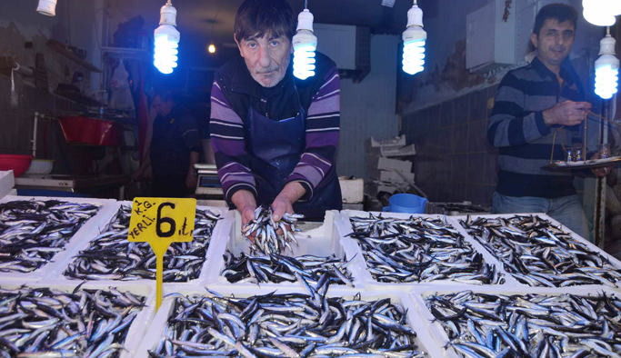 Trabzon'da yerli hamsi tezgahları süslüyor