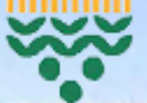 Dar gelirli TMO'ya koştu