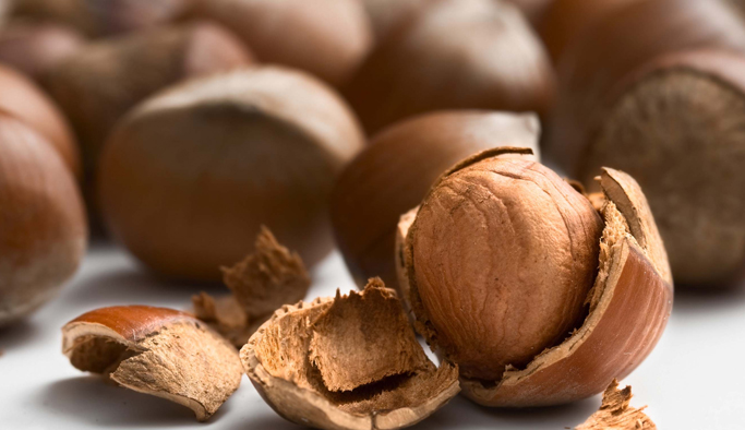 Fındık Üreticilerine kasım ayı uyarısı