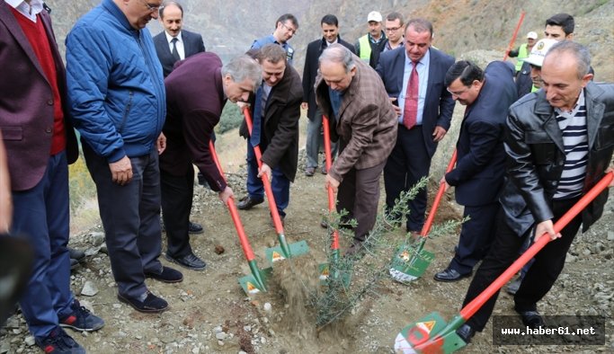 Karadeniz'de 5 bin köye 5 bin orman