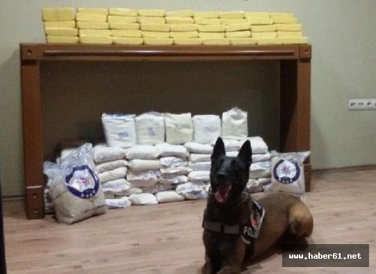 Rize'de PKK'ya darbe!