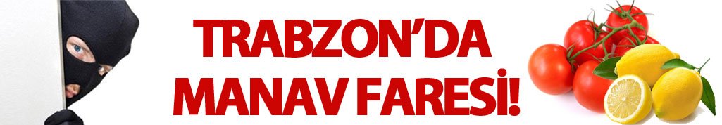 Trabzon'da sebze hırsızlığı