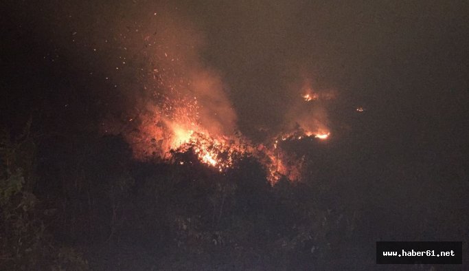 Rize'de yangın büyüyor