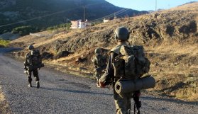 491 hain etkisiz hale getirildi