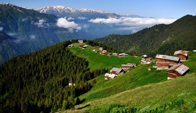 Yeşil Yol'a 10 bin fidan