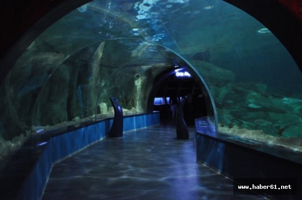 Trabzon'da Tünel Akvaryum için ilk adım atıldı