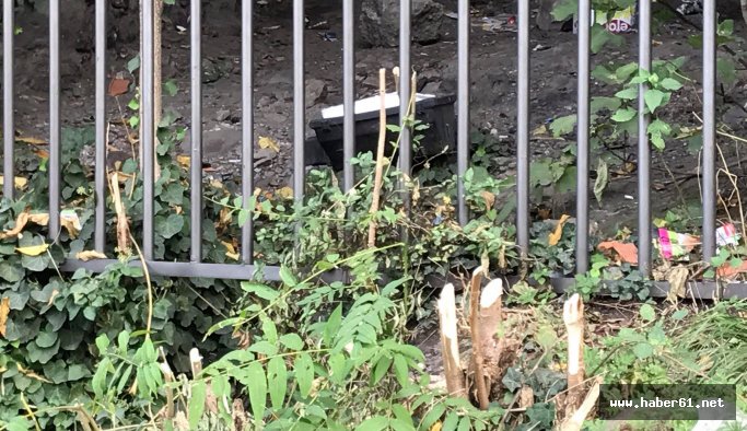 İnsan olan bunu yapmaz!