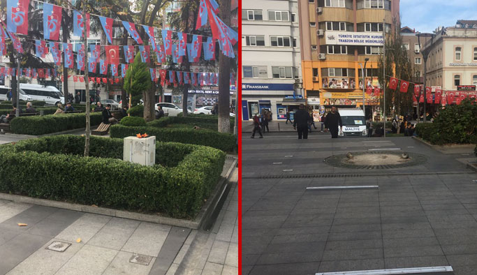 Trabzon'da bu ağaçlara ne oldu?
