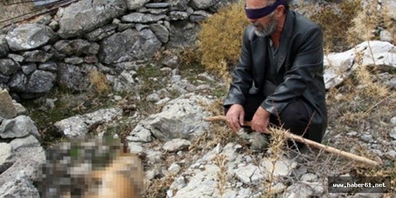 Köpeği öldürülen görme engelli için kampanya