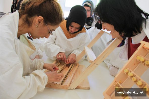Ordu'da kadınlar arı sütünden para kazanacak