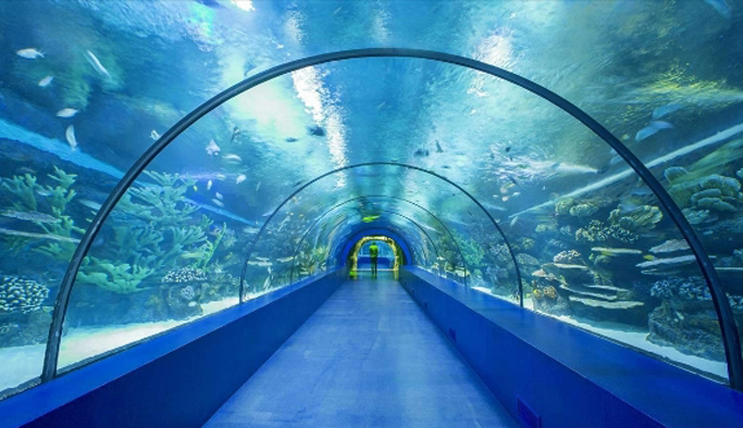 Trabzon'a "Tünel Akvaryum" yapılacak