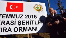 15 Temmuz şehitleri anısına hatıra ormanı