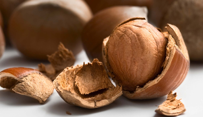 "Fındık fiyatlarına müdahale edilmeli"