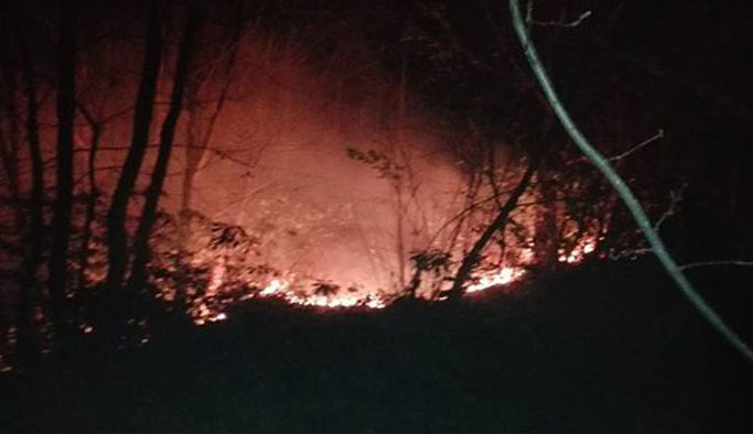Sürmene’de Orman Yangını: Bir Ev ve Ahır Küle Döndü