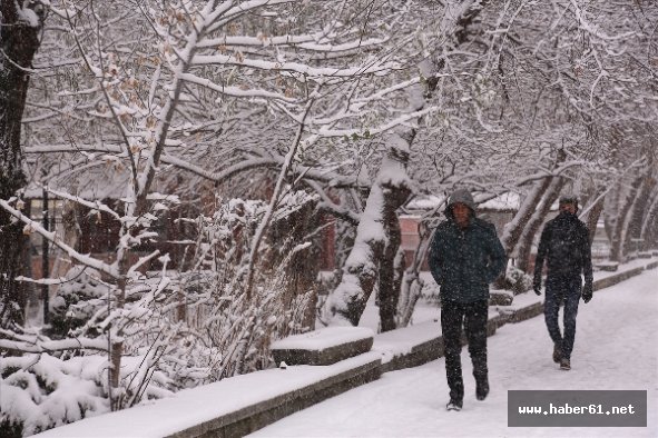 Doğu Karadeniz'i kar vurdu