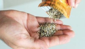 Bunun adı resmen cinayet!