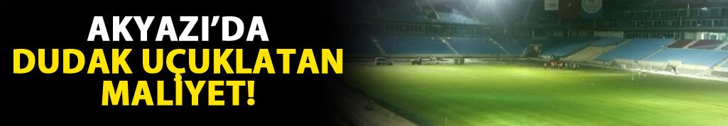 Akyazı'nın yıllık masrafı dudak uçuklatıyor