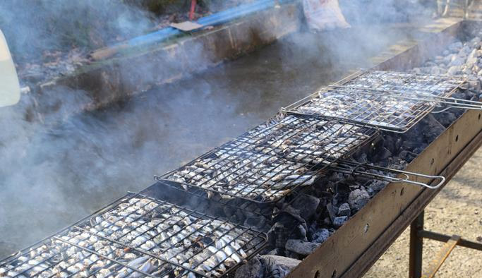 Edirne'de hamsi şenliği