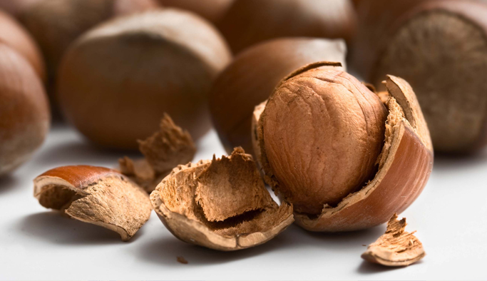 Fındık Tanıtım Grubunun dolarları TL’ye çevriliyor