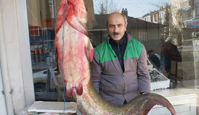 Karadenizli balıkçı dev balık yakaladı