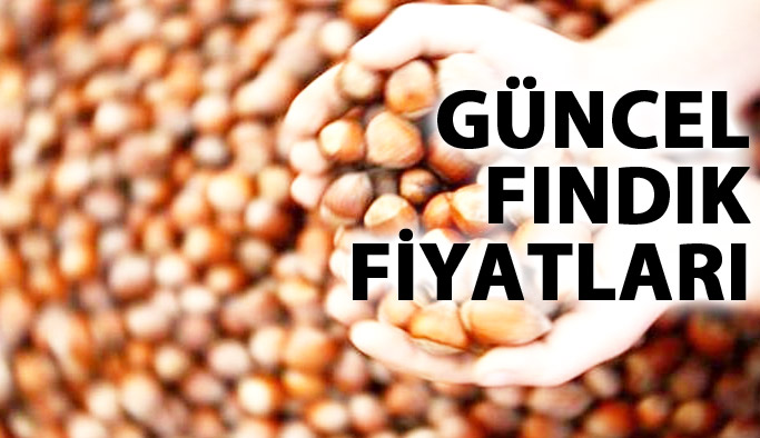 Fındık fiyatları ne kadar? Güncel fındık fiyatı 12 Aralık