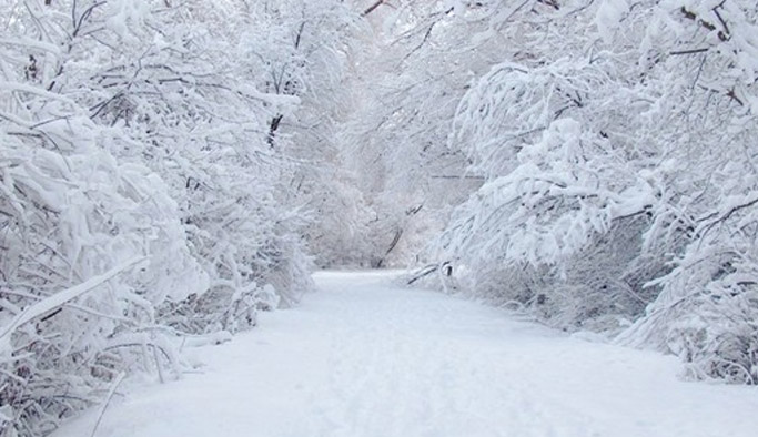 Giresun'da kar yolları kapattı