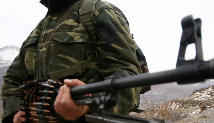 15 hain öldürüldü