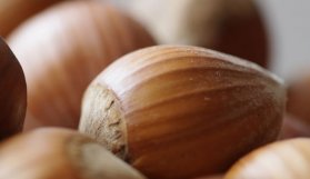 Giresun'da fındık fiyatı arttı