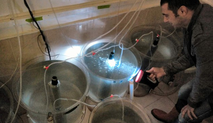 "Kırlangıç balığını Karadeniz'de görmek istiyoruz"