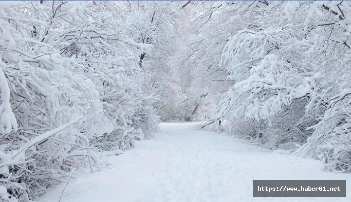 Trabzon dikkat! YOĞUN KAR GELİYOR