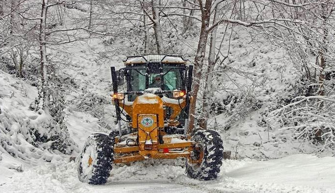 Giresun'da kar 377 köy yolunu kapattı