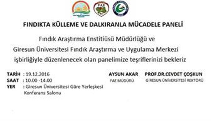 Giresun haber: Giresun'da fındık paneli var