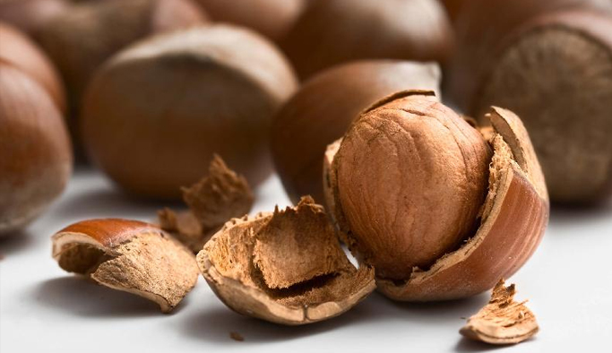 Fındık üreticilerine ek ödeme müjdesi