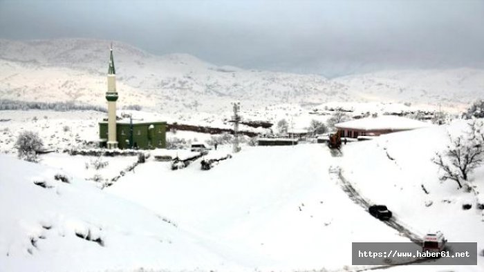 Kar yağışı Karadeniz'de ulaşımı vurdu