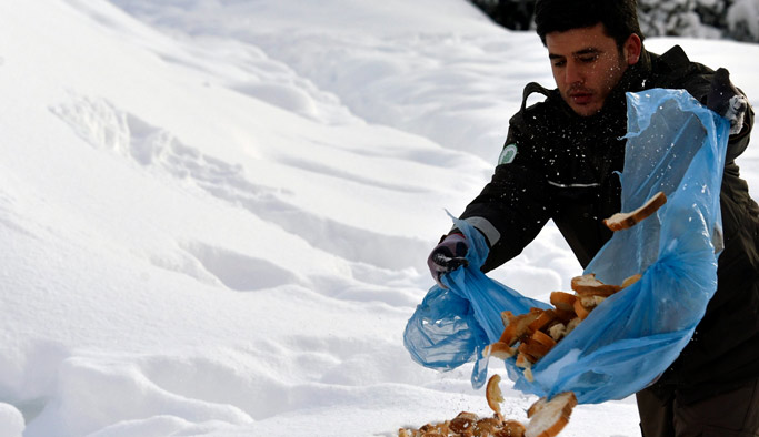 Gümüşhane'de hayvanlar unutulmadı