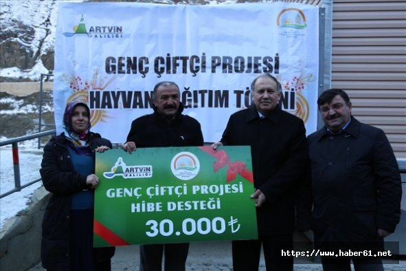 Çiftçilere ücretsiz büyükbaş hayvan verildi